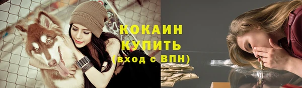 гашик Армянск